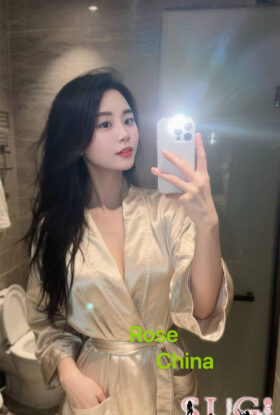 Rose (4031)